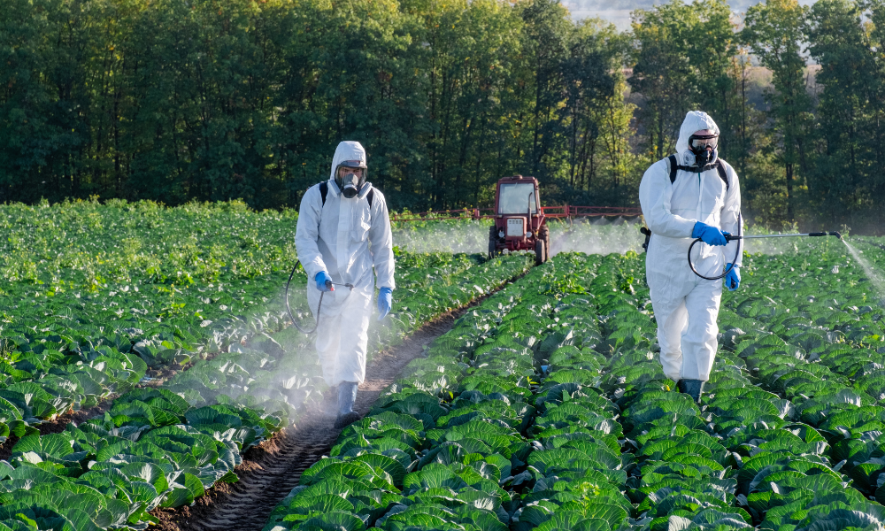 The Dangers of Glyphosate (Roundup) - Renewed Health Co.