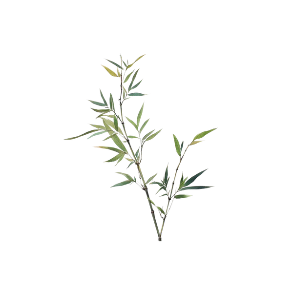 Silica
